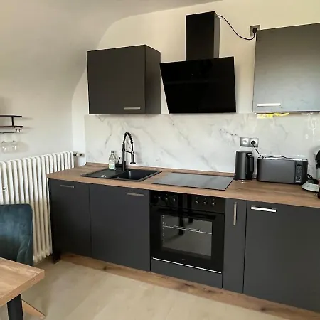 Elsternest Braunschweig